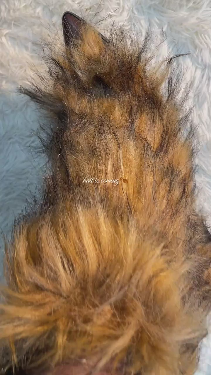 Adriana brown boots - on-foot view